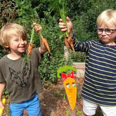 semis carottes enfants